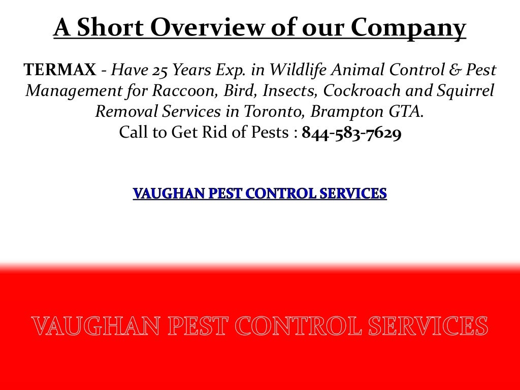 Termax Have 25 Years Exp. in Wildlife Animal Control & Pest