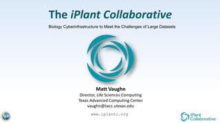 The iPlant Collaborative
Matt Vaughn
Director, Life Sciences Computing
Texas Advanced Computing Center
vaughn@tacc.utexas.edu
www.iplantc.org
Biology Cyberinfrastructure to Meet the Challenges of Large Datasets
 
