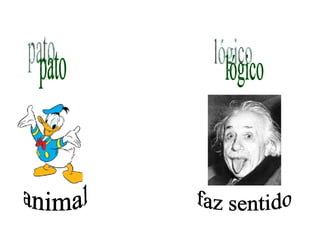 pato animal lógico faz sentido 