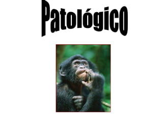 Patológico 