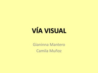 VÍA VISUAL
Gianinna Mantero
  Camila Muñoz
 