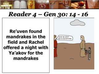 Reader 4 – Gen 30: 14 - 16 
Re’uven found 
mandrakes in the 
field and Rachel 
offered a night with 
Ya’akov for the 
mandrakes 
 