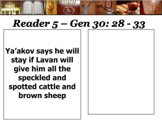 Reader 5 – Gen 30: 28 - 33 
Ya’akov says he will 
stay if Lavan will 
give him all the 
speckled and 
spotted cattle and 
brown sheep 
 