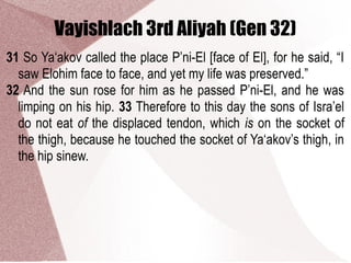 Vayishlach 3rd Aliyah (Gen 32)
31 So Ya‘akov called the place P’ni-El [face of El], for he said, “I
saw Elohim face to face, and yet my life was preserved.”
32 And the sun rose for him as he passed P’ni-El, and he was
limping on his hip. 33 Therefore to this day the sons of Isra’el
do not eat of the displaced tendon, which is on the socket of
the thigh, because he touched the socket of Ya‘akov’s thigh, in
the hip sinew.
 