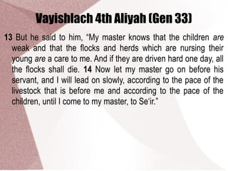 Vayishlach 4th Aliyah (Gen 33)
13 But he said to him, “My master knows that the children are
weak and that the flocks and herds which are nursing their
young are a care to me. And if they are driven hard one day, all
the flocks shall die. 14 Now let my master go on before his
servant, and I will lead on slowly, according to the pace of the
livestock that is before me and according to the pace of the
children, until I come to my master, to Se‘ir.”
 