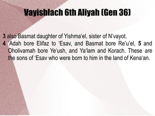 Vayishlach 6th Aliyah (Gen 36)
3 also Basmat daughter of Yishma‘el, sister of N’vayot.
4 ‘Adah bore Elifaz to ‘Esav, and Basmat bore Re’u’el, 5 and
Oholivamah bore Ye‘ush, and Ya‘lam and Korach. These are
the sons of ‘Esav who were born to him in the land of Kena‘an.
 