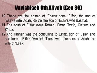Vayishlach 6th Aliyah (Gen 36)
10 These are the names of ‘Esav’s sons: Elifaz, the son of
‘Esav’s wife ‘Adah, Re‘u’el the son of ‘Esav’s wife Basmat.
11 The sons of Elifaz were Teman, Omar, Tzefo, Ga‘tam and
K’naz.
12 And Timnah was the concubine to Elifaz, son of ‘Esav, and
she bore to Elifaz, ‘Amalek. These were the sons of ‘Adah, the
wife of ‘Esav.
 