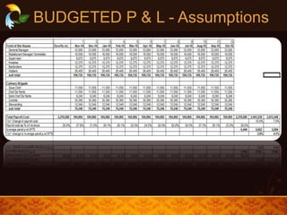 BUDGETED P & L - Assumptions
 