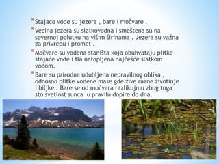 *Stajace vode su jezera , bare i močvare . 
*Vecina jezera su slatkovodna i smeštena su na 
severnoj polutku na višim širinama . Jezera su važna 
za privredu i promet . 
*Močvare su vodena staništa koja obuhvataju plitke 
stajaće vode i tla natopljena najčešće slatkom 
vodom. 
*Bare su prirodna udubljena nepravilnog oblika , 
odnosno plitke vodene mase gde žive razne životinje 
i biljke . Bare se od močvara razlikujmu zbog toga 
sto svetlost sunca u pravilu dopire do dna. 
 