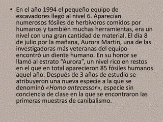 • En el año 1994 el pequeño equipo de
  excavadores llegó al nivel 6. Aparecían
  numerosos fósiles de herbívoros comidos por
  humanos y también muchas herramientas, era un
  nivel con una gran cantidad de material. El día 8
  de julio por la mañana, Aurora Martín, una de las
  investigadoras más veteranas del equipo
  encontró un diente humano. En su honor se
  llamó al estrato “Aurora”, un nivel rico en restos
  en el que en total aparecieron 85 fósiles humanos
  aquel año. Después de 3 años de estudio se
  atribuyeron una nueva especie a la que se
  denominó «Homo antecessor», especie sin
  conciencia de clase en la que se encontraron las
  primeras muestras de canibalismo.
 