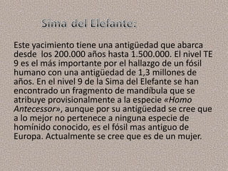 Este yacimiento tiene una antigüedad que abarca
desde los 200.000 años hasta 1.500.000. El nivel TE
9 es el más importante por el hallazgo de un fósil
humano con una antigüedad de 1,3 millones de
años. En el nivel 9 de la Sima del Elefante se han
encontrado un fragmento de mandíbula que se
atribuye provisionalmente a la especie «Homo
Antecessor», aunque por su antigüedad se cree que
a lo mejor no pertenece a ninguna especie de
homínido conocido, es el fósil mas antiguo de
Europa. Actualmente se cree que es de un mujer.
 