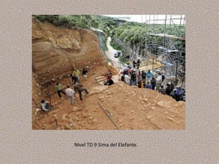 Nivel TD 9 Sima del Elefante.
 