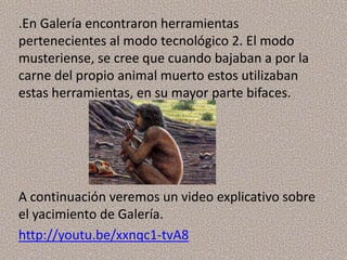 .En Galería encontraron herramientas
pertenecientes al modo tecnológico 2. El modo
musteriense, se cree que cuando bajaban a por la
carne del propio animal muerto estos utilizaban
estas herramientas, en su mayor parte bifaces.




A continuación veremos un video explicativo sobre
el yacimiento de Galería.
http://youtu.be/xxnqc1-tvA8
 