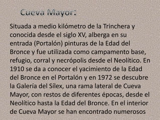 Situada a medio kilómetro de la Trinchera y
conocida desde el siglo XV, alberga en su
entrada (Portalón) pinturas de la Edad del
Bronce y fue utilizada como campamento base,
refugio, corral y necrópolis desde el Neolítico. En
1910 se da a conocer el yacimiento de la Edad
del Bronce en el Portalón y en 1972 se descubre
la Galería del Sílex, una rama lateral de Cueva
Mayor, con restos de diferentes épocas, desde el
Neolítico hasta la Edad del Bronce. En el interior
de Cueva Mayor se han encontrado numerosos
 