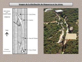 Imagen de la distribución de Atapuerca en las simas.
 
