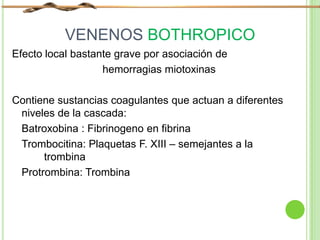 VENENOS BOTHROPICO
Efecto local bastante grave por asociación de
hemorragias miotoxinas
Contiene sustancias coagulantes que actuan a diferentes
niveles de la cascada:
Batroxobina : Fibrinogeno en fibrina
Trombocitina: Plaquetas F. XIII – semejantes a la
trombina
Protrombina: Trombina
 