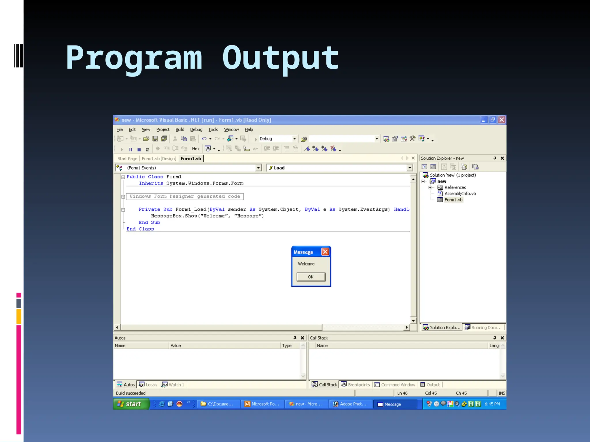 Program Output 