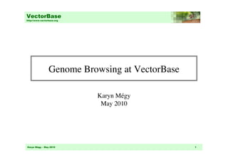 VectorBase
http://www.vectorbase.org




                 Genome Browsing at VectorBase	


                            Karyn Mégy
                             May 2010	





Karyn Mégy – May 2010                               1
 