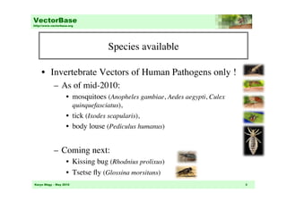 VectorBase
http://www.vectorbase.org




                                      Species available
                                                      	


     •  Invertebrate Vectors of Human Pathogens only !	

            –  As of mid-2010: 	

                    •  mosquitoes (Anopheles gambiae, Aedes aegypti, Culex
                        quinquefasciatus), 	

                    •  tick (Ixodes scapularis), 	

                    •  body louse (Pediculus humanus)	



            –  Coming next: 	

                    •  Kissing bug (Rhodnius prolixus)	

                    •  Tsetse ﬂy (Glossina morsitans) 	

Karyn Mégy – May 2010                                                        3
 
