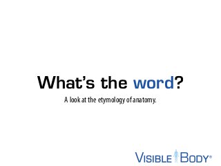 What’s the word?
A look at the etymology of anatomy.
 