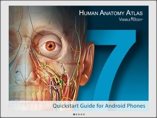 Human Anatomy Atlas 7 Quickstart Guide for Android (Phone) 