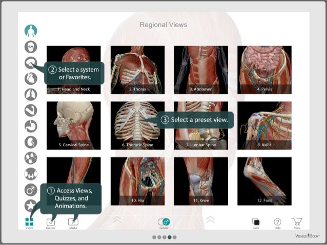 human anatomy atlas app store