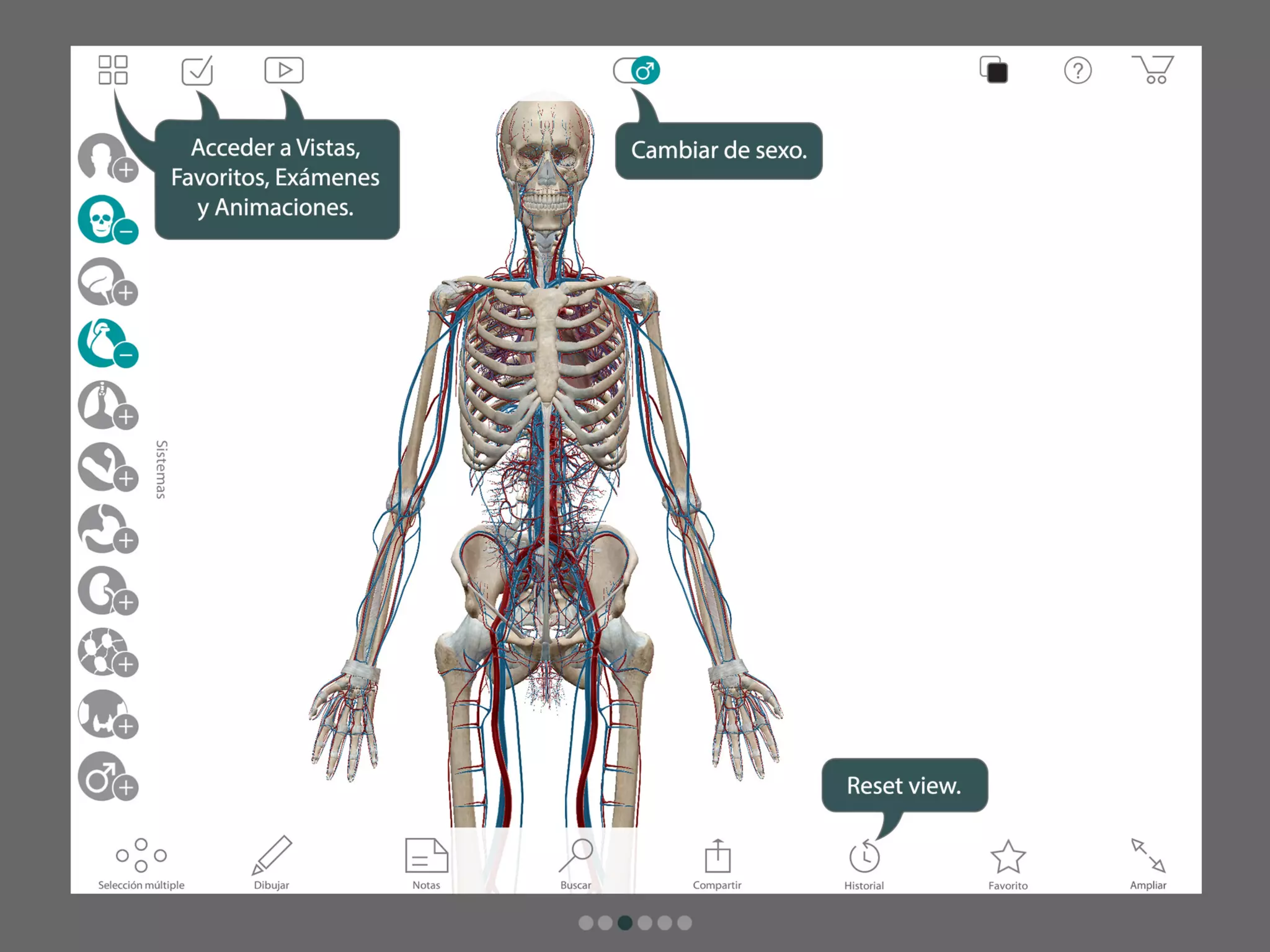 Atlas de anatomía humana para iPad