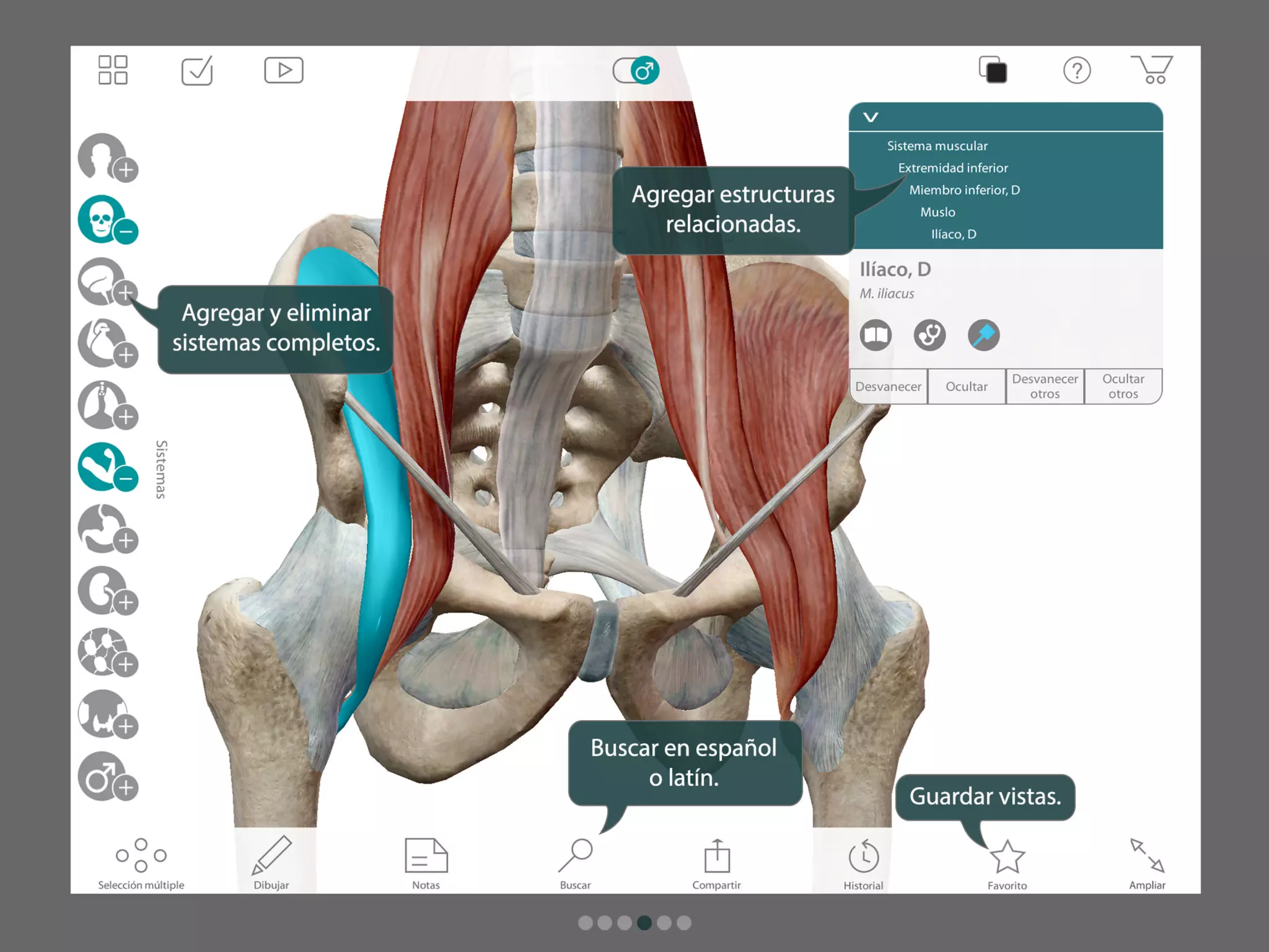 Atlas de anatomía humana para iPad