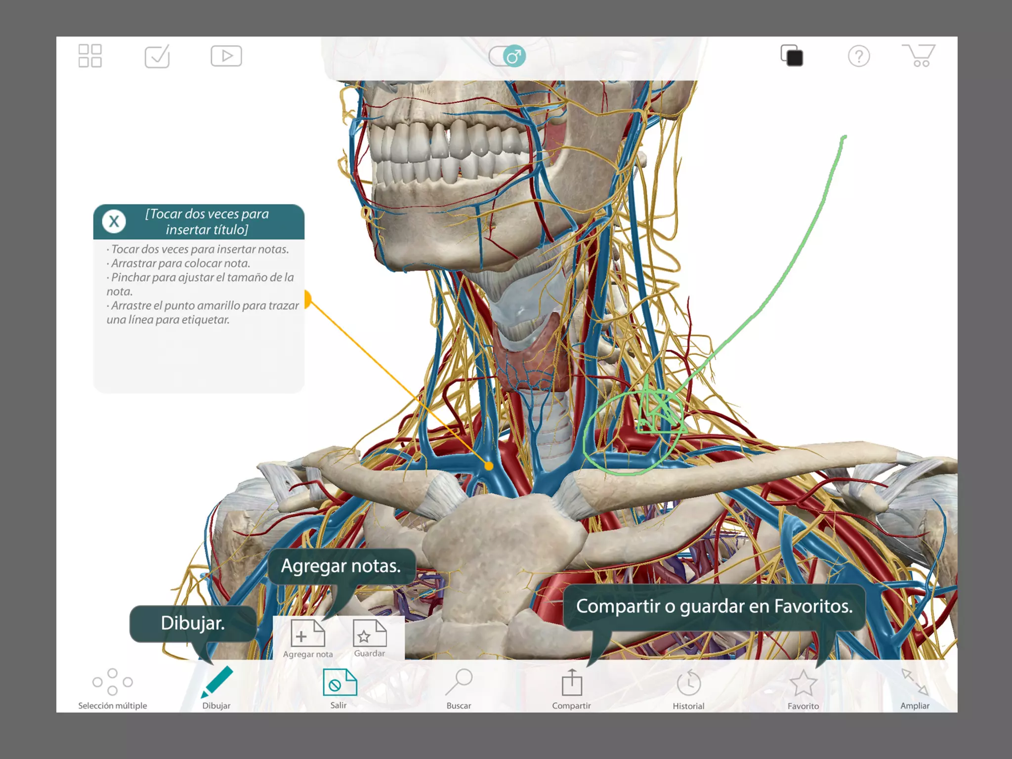 Atlas de anatomía humana para iPad