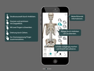 Atlas der menschlichen Anatomie für iPhone