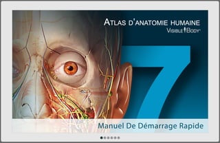  L'Atlas d'anatomie humaine de Visible Body pour tablette Android