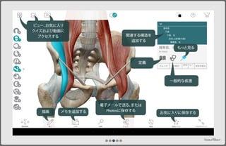 ヒューマン・アナトミー・アトラス (Android Tablet)