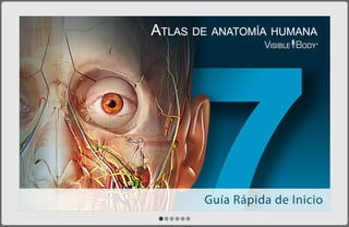 Atlas de Anatomía Humana de Visible Body para tablet Android