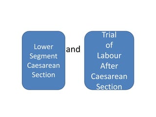 Lscs Labour Vbac | PPTX