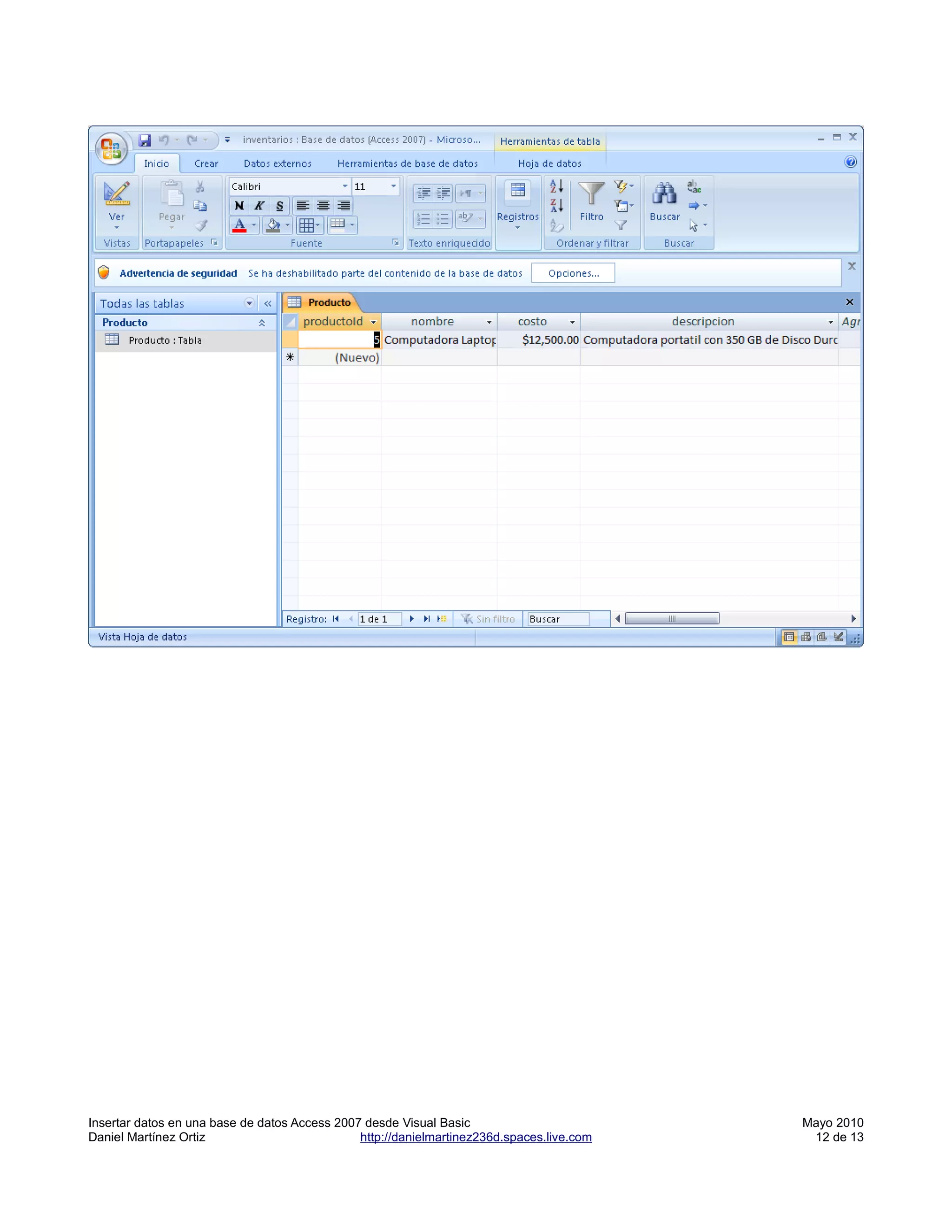 Insertar datos en una base de datos Access 2007 desde Visual Basic                         Mayo 2010
Daniel Martínez Ortiz                          http://danielmartinez236d.spaces.live.com    12 de 13
 