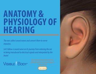 ANATOMY &
PHYSIOLOGY OF
HEARING
Theearscollectsoundwavesandconvertthemtonerve
impulses.
Let’sfollowasoundwaveonitsjourneyfromenteringtheear
tobeingtransducedtoelectricalsignalsandinterpretedbythe
brain!
Have Human Anatomy Atlas for iOS or
Android?Tap the icon to view images in
interactive 3D!
 