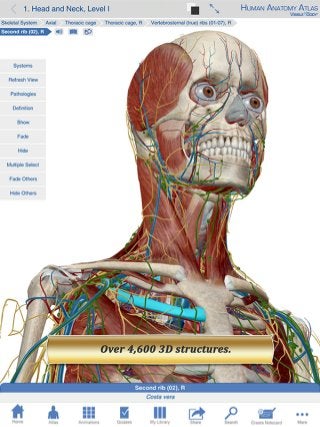 Human Anatomy Atlas 6 Sneak Peek