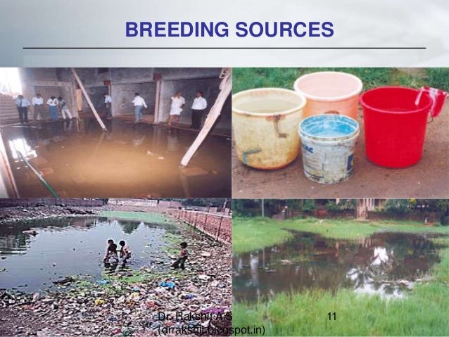 Vector Borne Diseases - The Growing Menace