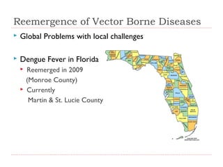 Reemergence of Vector Borne Diseases


Global Problems with local challenges



Dengue Fever in Florida




Reemerged in 2009
(Monroe County)
Currently
Martin & St. Lucie County

 