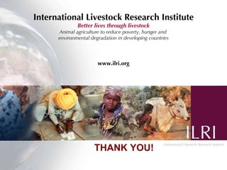 CPWF Volta Basin Project ‘integrated management of rainwater for crop-livestock agro-ecosystems’ (V2)