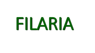 FILARIA
 