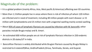 Magnitude of the problem:
• It is a global problem (mainly Africa, Asia, West pacific & Americas) affecting over 83 countries.
• More than 1.3 billion people live in areas where there is risk of infection,of whom 120 million
are infected and in need of treatment, including 40 million people with overt disease i.e 15
million with lymphoedema and 25 million men with urogenital swelling mainly scrotal swelling.
• About 95% of cases of lymphatic filariasis are caused by infection with W. bancrofti; other
parasites include Brugia malayi and B. timori.
• An estimated 600 million people are at risk of lymphatic filariasis infection in 250 endemic
districts in 20 states/UT in India.
• Bancroftian filariasis is widely distributed while Brugian filariasis caused by Brugia Malayi is
restricted to 6 statesUP,Bihar, AndhraPradesh,Orissa, Tamilnadu, Kerala, and Gujarat.
 