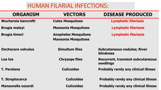 103
HUMAN FILARIAL INFECTIONS:
ORGANISM VECTORS DISEASE PRODUCED
Wuchereia bancrofti Culex Mosquitoes Lymphatic filariasis
Brugia malayi Mansonia Mosquitoes Lymphatic filariasis
Brugia timori Anopheles Mosquitoes
Mansonia Mosquitoes
Lymphatic filariasis
Onchocera volvulus Simultum flies Subcutaneous nodules; River
blindness
Loa loa Chrysops flies Recurrent, transient subcutaneous
swellings
T. Perstans Culicoides Probably rarely any clinical illness
T. Streptocerca Culicoides Probably rarely any clinical illness
Mansonella ozzardi Culicoides Probably rarely any clinical illness
 