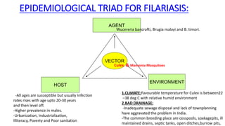 EPIDEMIOLOGICAL TRIAD FOR FILARIASIS:
AGENT
HOST
ENVIRONMENT
VECTOR
Wucereria bancrofti, Brugia malayi and B. timori.
Culex & Mansonia Mosquitoes
1.CLIMATE:Favourable temperature for Culex is between22
–38 deg C with relative humid environment
2.BAD DRAINAGE:
-Inadequate sewage disposal and lack of townplanning
have aggravated the problem in India.
-The common breeding place are cesspools, soakagepits, ill
maintained drains, septic tanks, open ditches,burrow pits,
-All ages are susceptible but usually Infection
rates rises with age upto 20-30 years
and then level off.
-Higher prevalence in males.
-Urbanization, Industrialization,
Illiteracy, Poverty and Poor sanitation
 