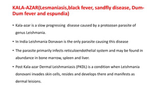 KALA-AZAR(Lesmaniasis,black fever, sandfly disease, Dum-
Dum fever and espundia)
• Kala-azar is a slow progressing disease caused by a protozoan parasite of
genus Leishmania.
• In India Leishmania Donavan is the only parasite causing this disease
• The parasite primarily infects reticuloendothelial system and may be found in
abundance in bone marrow, spleen and liver.
• Post Kala-azar Dermal Leishmaniasis (PKDL) is a condition when Leishmania
donovani invades skin cells, resides and develops there and manifests as
dermal leisions.
 