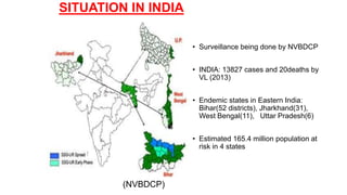 SITUATION IN INDIA
• Surveillance being done by NVBDCP
• INDIA: 13827 cases and 20deaths by
VL (2013)
• Endemic states in Eastern India:
Bihar(52 districts), Jharkhand(31),
West Bengal(11), Uttar Pradesh(6)
• Estimated 165.4 million population at
risk in 4 states
(NVBDCP)
 