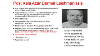 Post Kala Azar Dermal Leishmaniasis
• Non ulcerative cutaneous lesion prevalent in endemic
areas of kala azar in India.
• In 10 % treated cases of Kala azar, Normally develops
<2 years after recovery(When Visceral infection
disappears but skin infection persists).
• Clinical feature:
• Depigmented macules: earliest lesion, trunk,
extremities and face
• Erythematous patches: Nose, cheeks and chin
• Yellowish pink nodules: Nodules mostly on face & are
soft, painless granulomatous growth of varying
sizes(Absences of ulceration is a noticeable feature)
• Do not heal spontaneously.
• Recrudescence
• Restricted to skin
Extensive nodular
lesion, resembling
lepromatous leprosy.
A very resistant case
cured after long
continued treatment
 