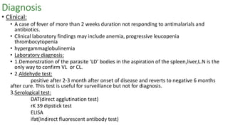 Diagnosis
• Clinical:
• A case of fever of more than 2 weeks duration not responding to antimalarials and
antibiotics.
• Clinical laboratory findings may include anemia, progressive leucopenia
thrombocytopenia
• hypergammaglobulinemia
• Laboratory diagnosis:
• 1.Demonstration of the parasite ‘LD’ bodies in the aspiration of the spleen,liver,L.N is the
only way to confirm VL or CL.
• 2.Aldehyde test:
positive after 2-3 month after onset of disease and reverts to negative 6 months
after cure. This test is useful for surveillance but not for diagnosis.
3.Serological test:
DAT(direct agglutination test)
rK 39 dipstick test
ELISA
ifat(Indirect fluorescent antibody test)
 
