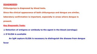 DIAGNOSIS:
Chikungunya is diagnosed by blood tests.
Since the clinical appearance of both chikungunya and dengue are similar,
laboratory confirmation is important, especially in areas where dengue is
present.
Key Diagnostic Tests:
 Detection of antigens or antibody to the agent in the blood (serology)
 If ELISA is available
An IgM capture ELISA is necessary to distinguish the disease from dengue
fever
 