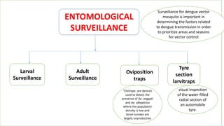 ENTOMOLOGICAL
SURVEILLANCE
Larval
Surveillance
Adult
Surveillance
Oviposition
traps
Tyre
section
larvitraps
visual inspection
of the water-filled
radial section of
an automobile
tyre.
“Ovitraps: are devices
used to detect the
presence of Ae. aegypti
and Ae. albopictus
where the population
density is low and
larval surveys are
largely unproductive
Surveillance for dengue vector
mosquito is important in
determining the factors related
to dengue transmission in order
to prioritize areas and seasons
for vector control
 